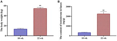 Fecal microbial composition associated with testosterone in the development of Meishan male pigs